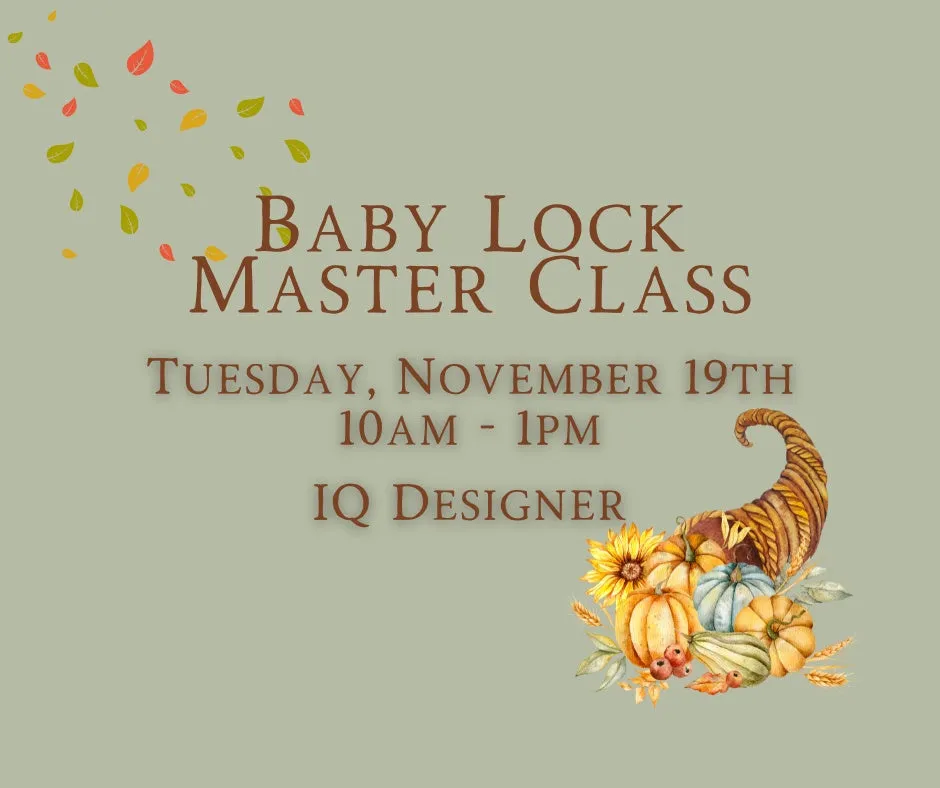 Baby Lock Master Class ~ IQ Designer November