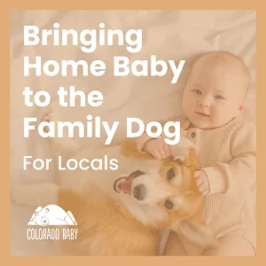 Bringing Home Baby To The Family Dog (in-person class)