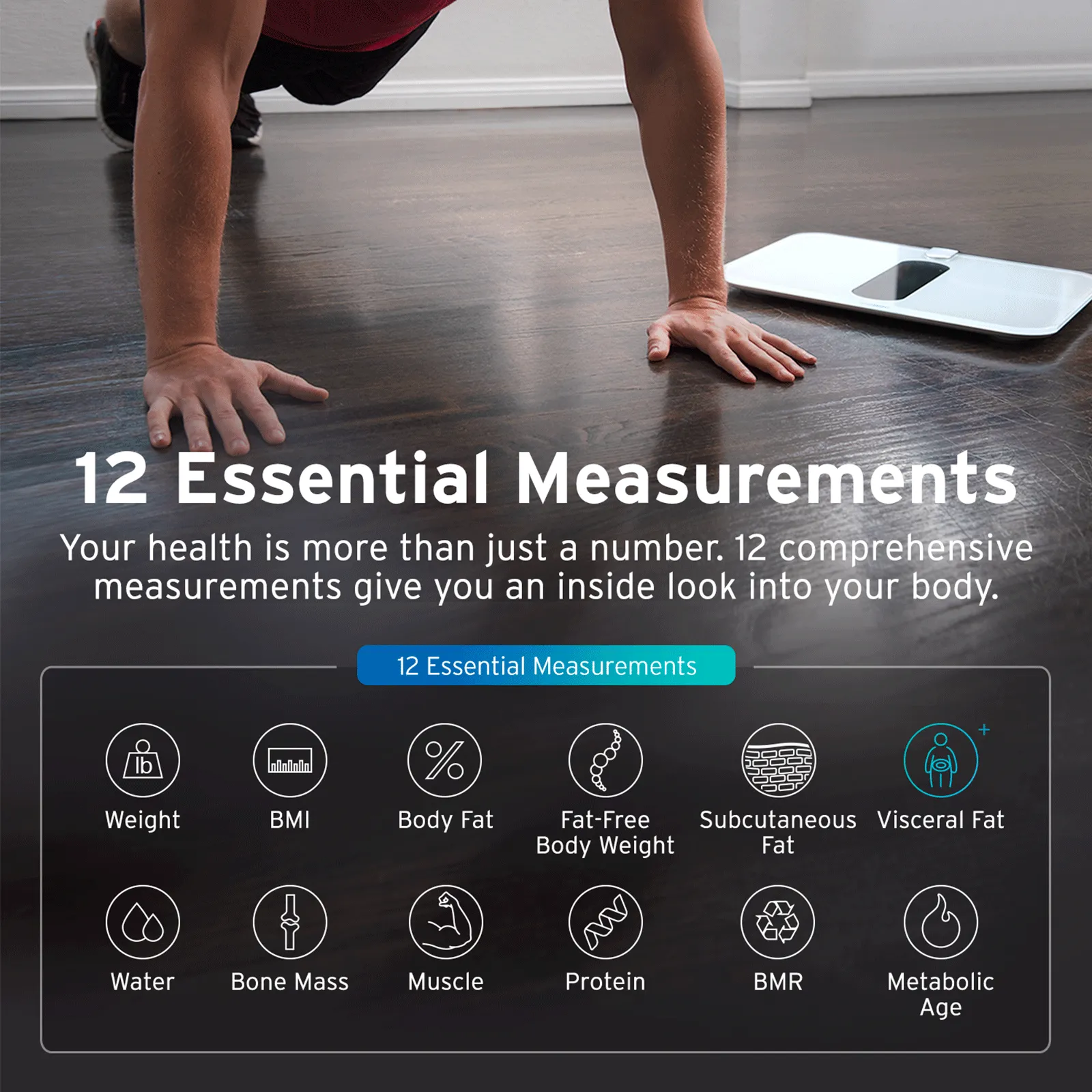 Etekcity ESF00  Smart Body Weight and Fitness Scale