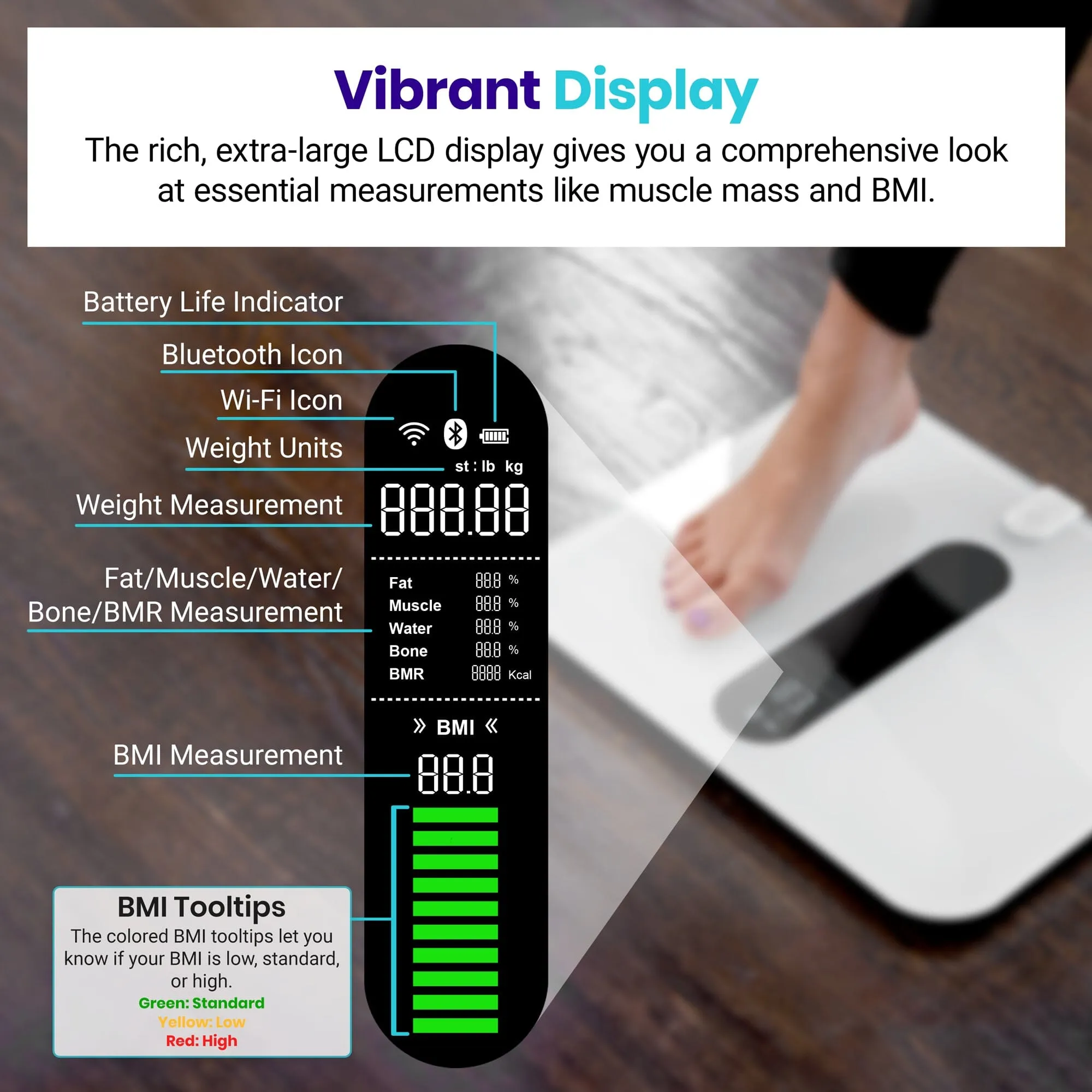 Etekcity ESF00  Smart Body Weight and Fitness Scale